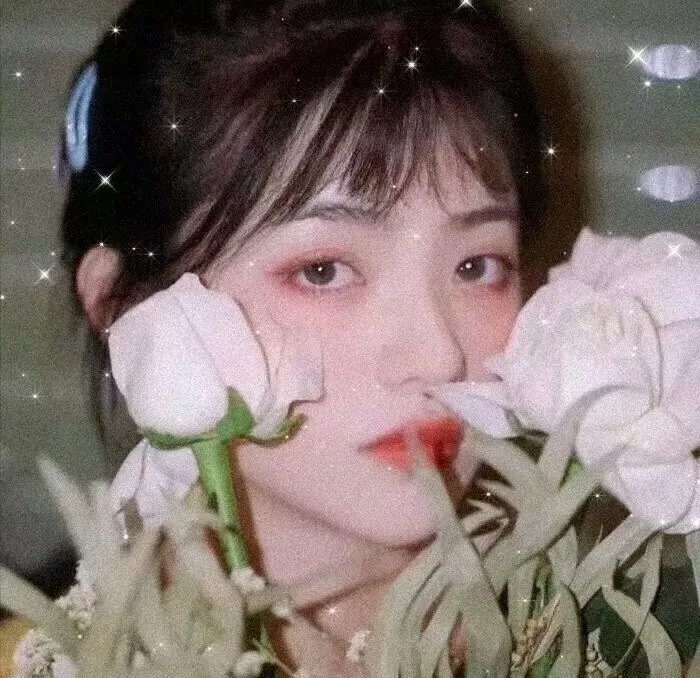 试·爱·舞 在线观看